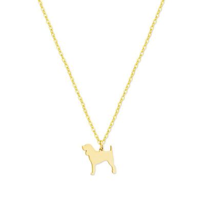 Collar Perro Beagle Gold