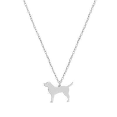collar de perro Labrador